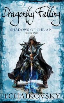 Dragonfly Falling sota-2 Dragonfly Falling sota-2