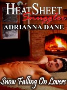 Snow Falling on Lovers Snow Falling on Lovers