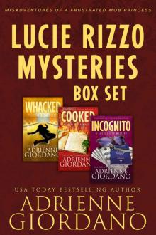 The Lucie Rizzo Mystery Series Box Set 2