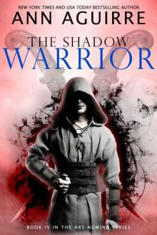 The Shadow Warrior The Shadow Warrior