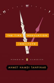 The Time Regulation Institute The Time Regulation Institute