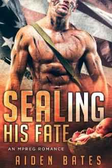 SEALing His Fate: An Mpreg Romance (SEALed With A Kiss Book 1)
