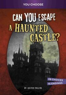 Can You Escape a Haunted Castle? Can You Escape a Haunted Castle?