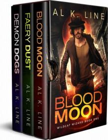 Wildcat Wizard Books 1-3