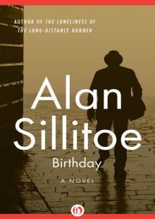 Birthday: A Novel (The Seaton Novels)
