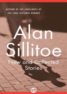 New and Collected Stories New and Collected Stories