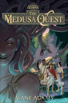 The Medusa Quest The Medusa Quest