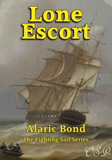 13 Lone Escort Fighting Sail #13) 13 Lone Escort Fighting Sail #13)
