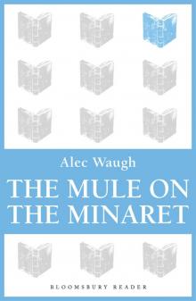 The Mule on the Minaret The Mule on the Minaret