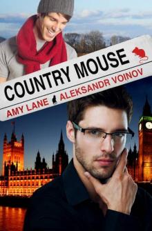 Country Mouse Country Mouse