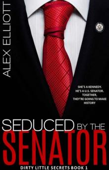 Seduced By The Senator