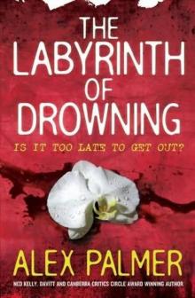 The Labyrinth of Drowning hag-3 The Labyrinth of Drowning hag-3