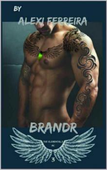 BRANDR: Elemental's MC (book 3)