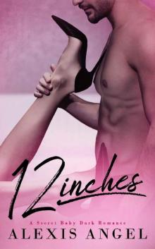 12 Inches: A Secret Baby Dark Romance