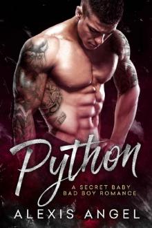 Python: A Secret Baby Bad Boy Romance