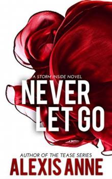 Never Let Go (The Storm Inside #4)
