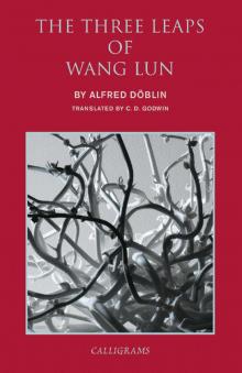 The Three Leaps of Wang Lun