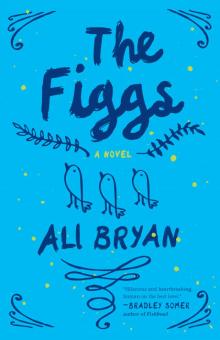 The Figgs The Figgs