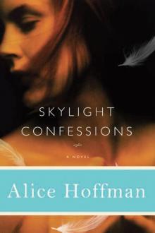 Skylight Confessions Skylight Confessions