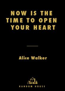 Now Is the Time to Open Your Heart Now Is the Time to Open Your Heart