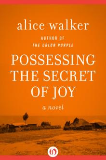 Possessing the Secret of Joy Possessing the Secret of Joy