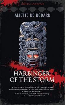 Harbinger of the Storm
