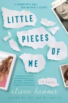 Little Pieces of Me Little Pieces of Me