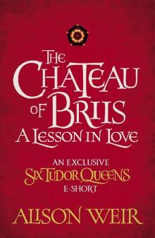 The Chateau of Briis