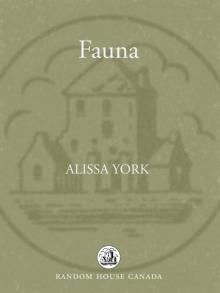 Fauna