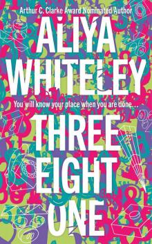 Three Eight One Three Eight One
