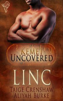 Linc Linc