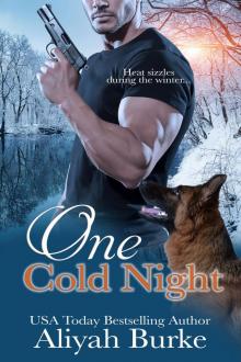 One Cold Night