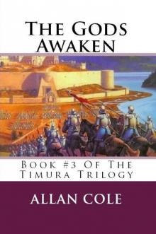 The Gods Awaken (The Timura Trilogy)