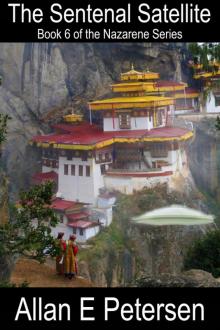 THe Sentinal Satellite