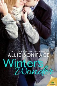 Winter's Wonder: Pine Point, Book 2 Winter's Wonder: Pine Point, Book 2