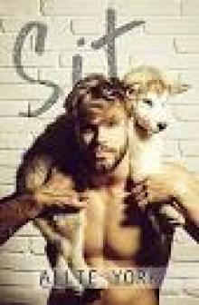 Sit (The Shores Book 1) Sit (The Shores Book 1)