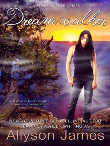 Dreamwalker (Stormwalker #5) Dreamwalker (Stormwalker #5)