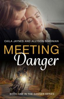 Meeting Danger (Danger #1) Meeting Danger (Danger #1)