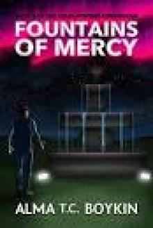 Fountains of Mercy