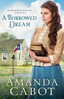 A Borrowed Dream A Borrowed Dream