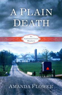 A Plain Death A Plain Death