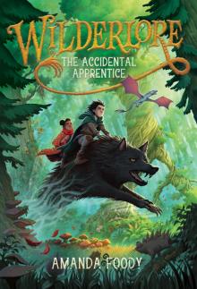 The Accidental Apprentice The Accidental Apprentice