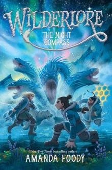 The Night Compass The Night Compass