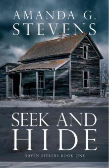 Seek and Hide: A Novel (Haven Seekers)