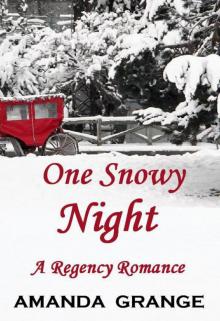 One Snowy Night One Snowy Night