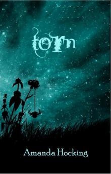 Torn Torn