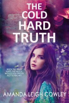 The Cold Hard Truth: A Gripping Novel About Secrets and Lies
