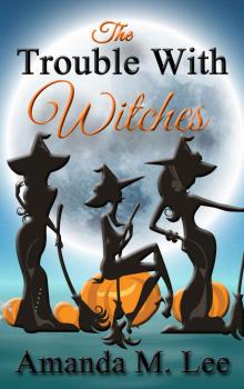 Wicked Witches of the Midwest 9