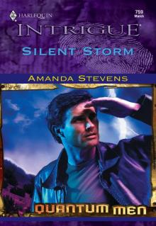 Silent Storm Silent Storm
