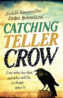 Catching Teller Crow Catching Teller Crow